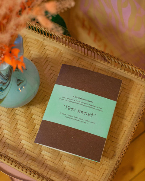 A plant journal lying on a brown textured background, with dried orange flowers in a turquoise vase in the foreground.
