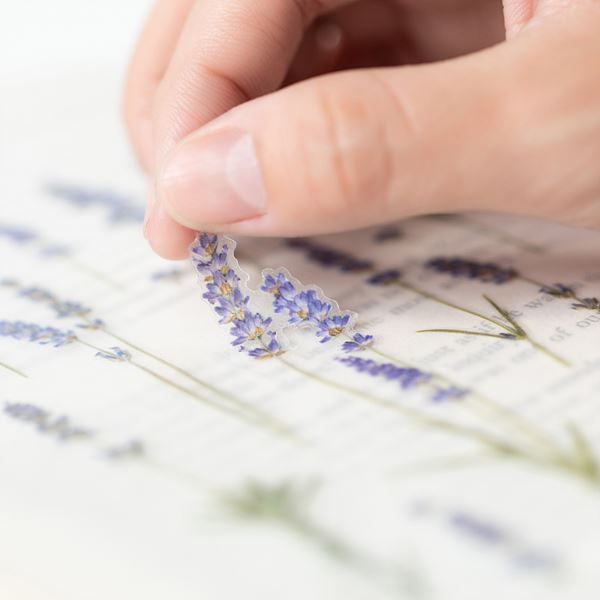 Lavendel — Pressede Blomster Klistremerker