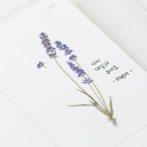 Lavendel — Pressede Blomster Klistremerker