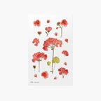 Pelargonia — Pressede Blomster Klistremerker