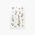 Bridal Wreath — Pressed Flower Stickers