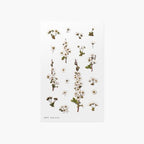 Bridal Wreath — Pressed Flower Stickers