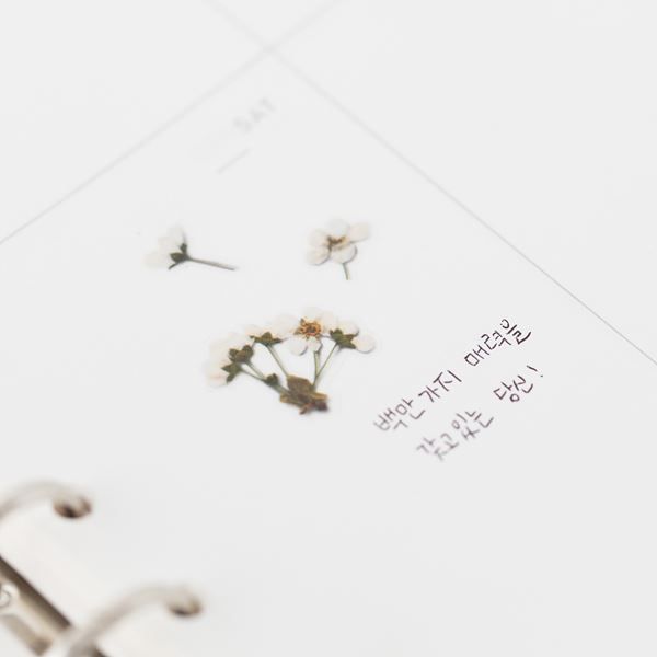 Bridal Wreath — Pressed Flower Stickers