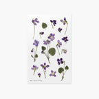 Violet — Pressed Flower Stickers