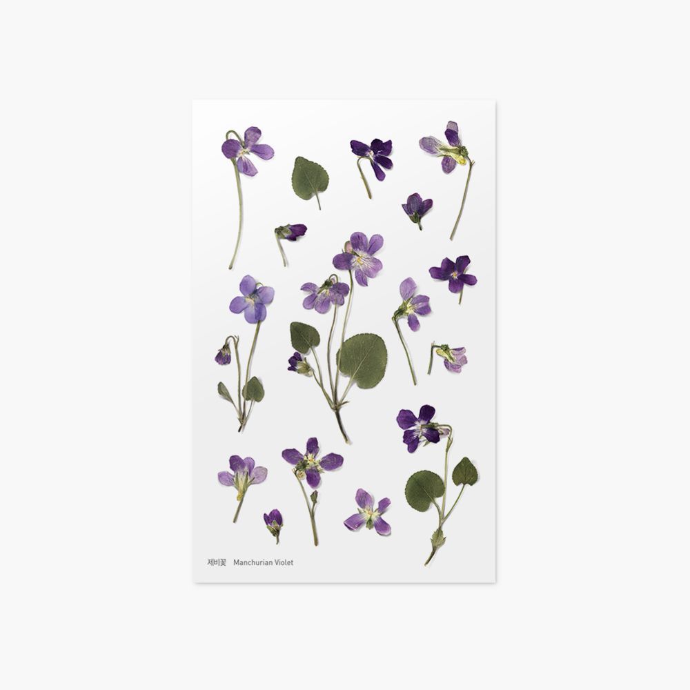 Fiol — Pressede Blomster Klistremerker