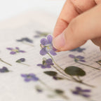Violet — Pressed Flower Stickers