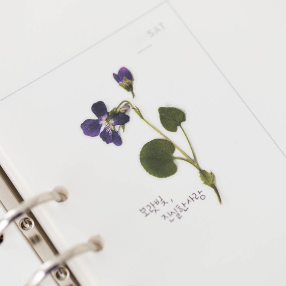 Violet — Pressed Flower Stickers