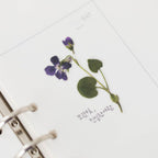 Violet — Pressed Flower Stickers