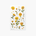 Calendula — Pressede Blomster Klistremerker