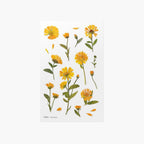 Calendula — Pressede Blomster Klistremerker