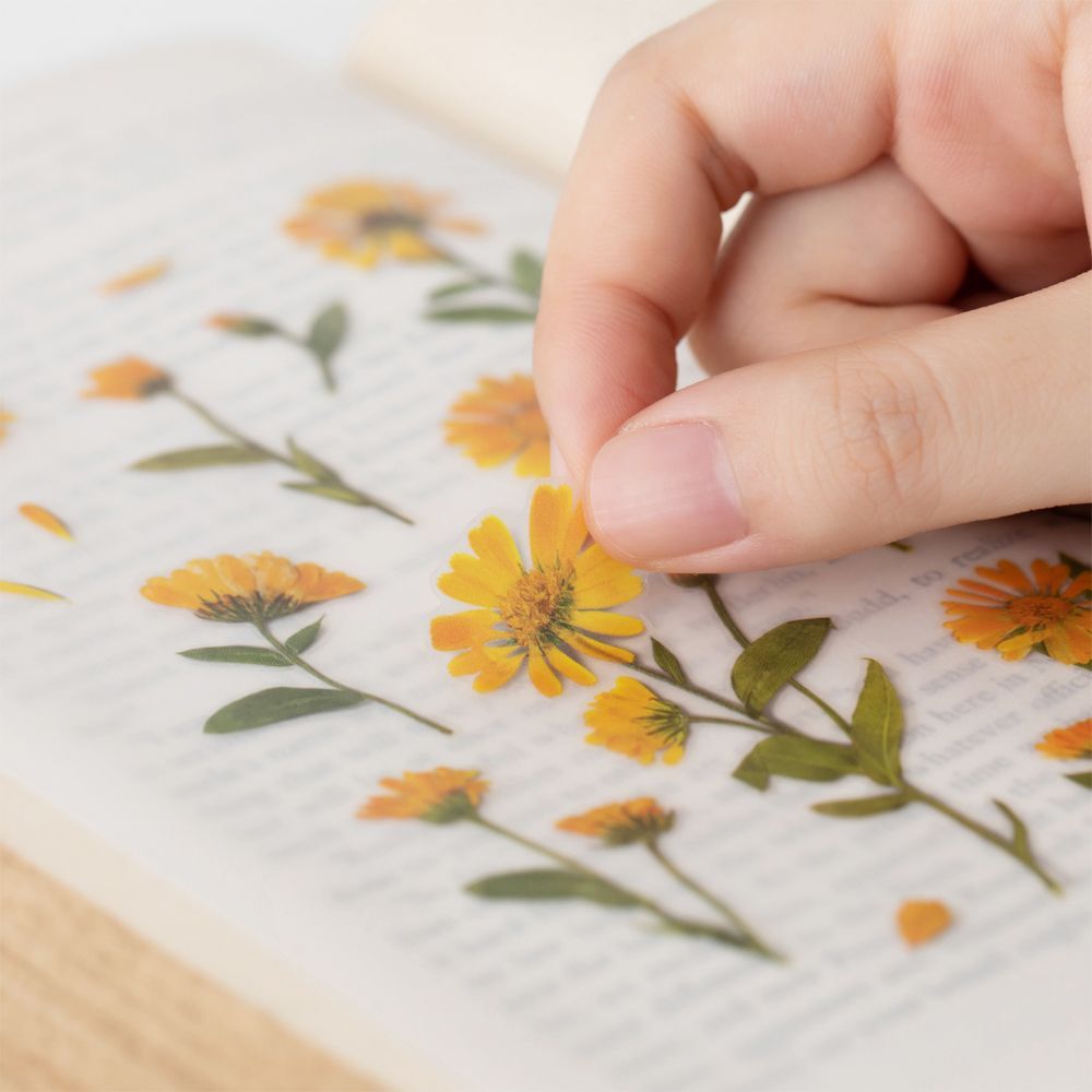 Calendula — Pressede Blomster Klistremerker