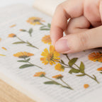 Calendula — Pressede Blomster Klistremerker