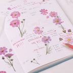 Cosmos — Pressed Flower Stickers
