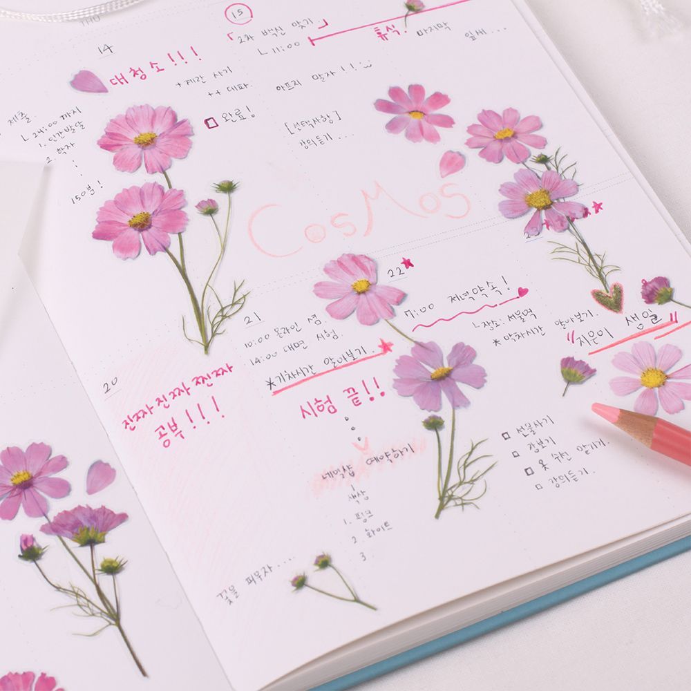 Kosmos — Pressede Blomster Klistremerker