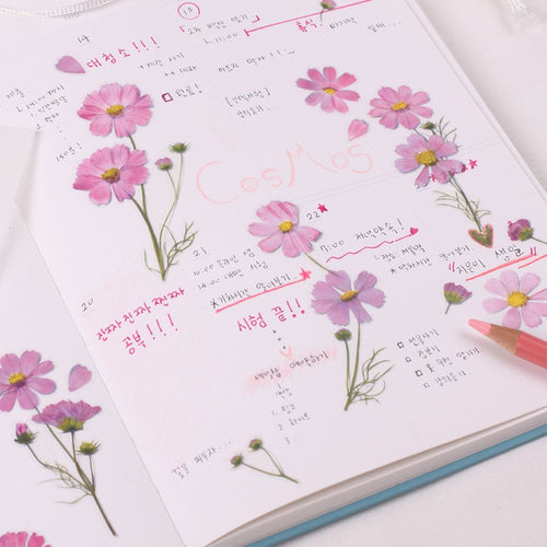 Kosmos — Pressede Blomster Klistremerker