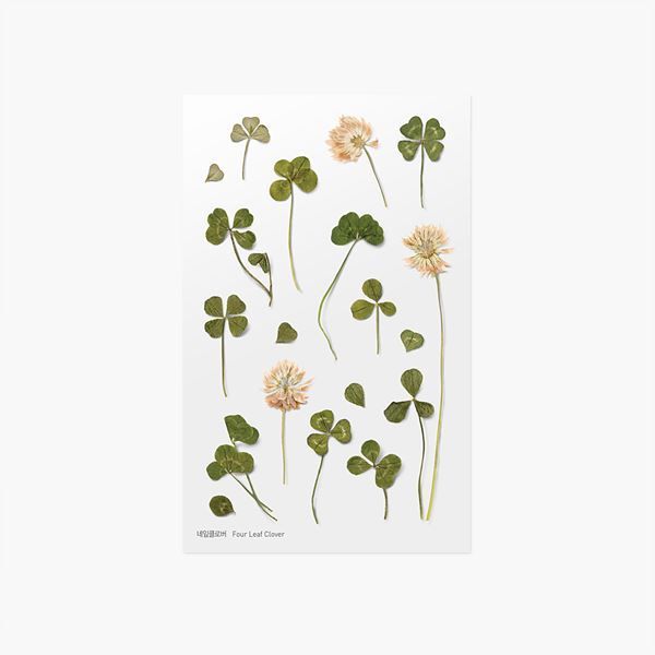 Clover — Pressed Flower Stickers