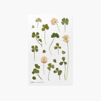 Clover — Pressed Flower Stickers