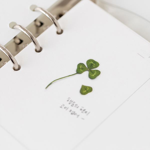 Clover — Pressed Flower Stickers