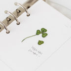 Clover — Pressed Flower Stickers