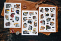 Transfer Stickers — "Days"