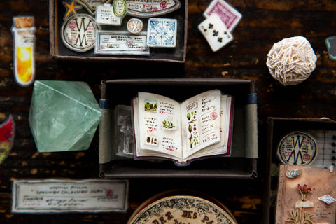"Desk of Botanist" PET Tape