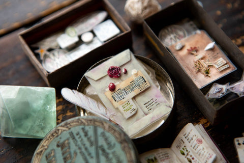 "Desk of Botanist" PET Tape
