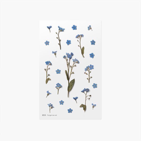 Forget-Me-Not — Pressed Flower Stickers