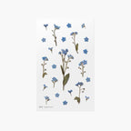 Forget-Me-Not — Pressed Flower Stickers