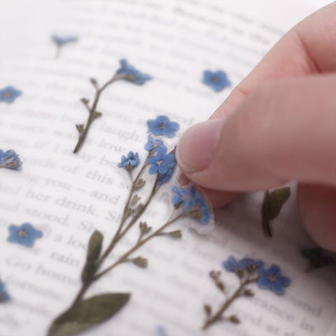 Pressed Flower Stickers