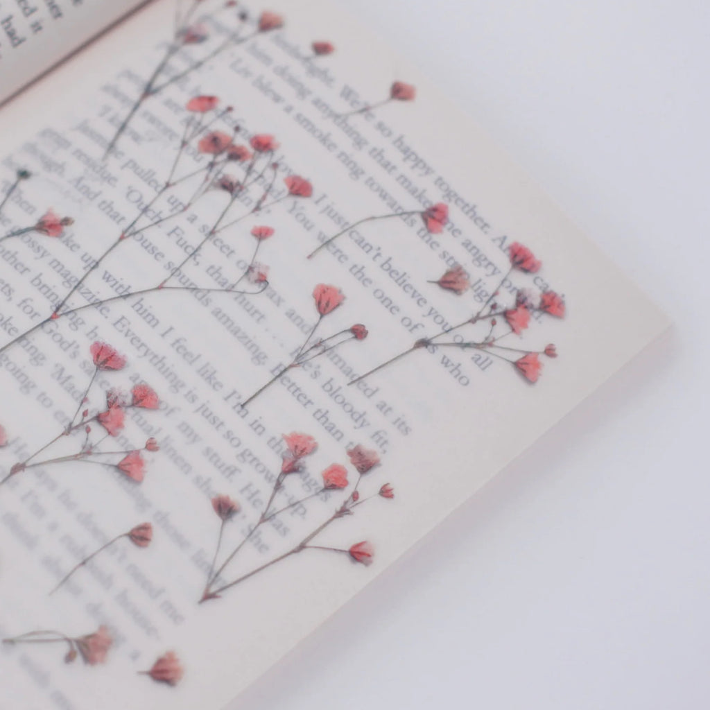 Gypsophila — Pressed Flower Stickers