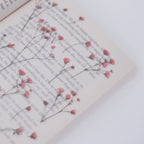 Gypsophila — Pressed Flower Stickers