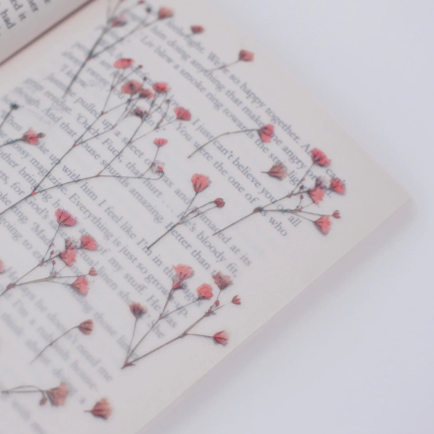 Gypsophila — Pressed Flower Stickers