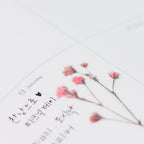 Gypsophila — Pressed Flower Stickers