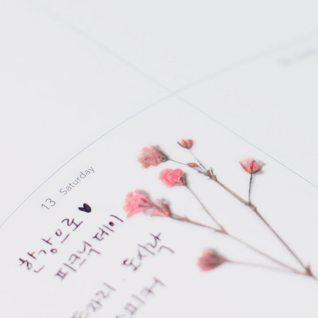 Gypsophila — Pressed Flower Stickers