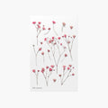 Gypsophila — Pressed Flower Stickers