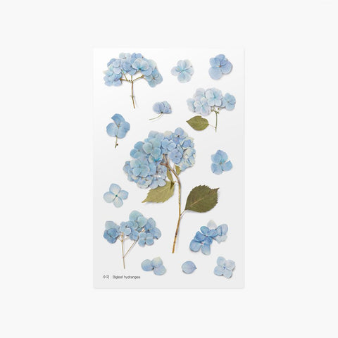 Pressede Blomster Klistremerker