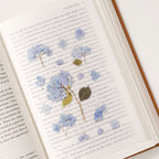 Hortensia — Pressede Blomster Klistremerker