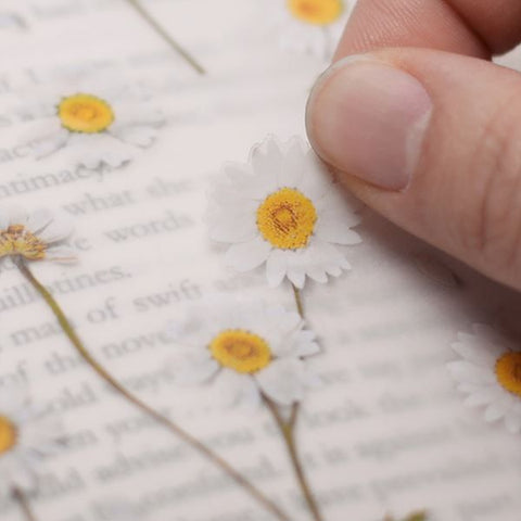 Pressed Flower Stickers