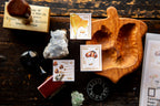 Foiled Stamp Stickers - Mushroom Recipe