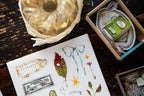 Transfer / Rub-On Stickers - Desk of Botanist
