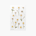 Marguerite — Pressed Flower Stickers by Appree
