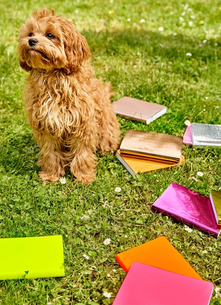 Bullet Journals by Nuuna